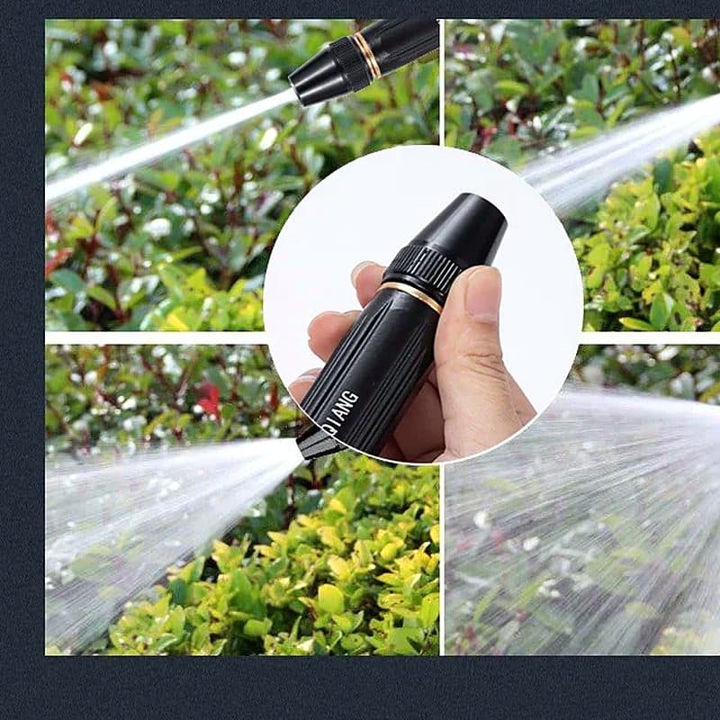 Arrosage des plantes