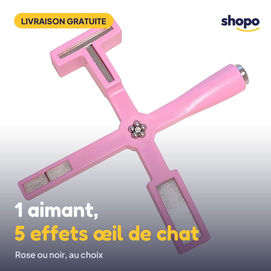 Aimant cat eye 5 en 1 pour ongles