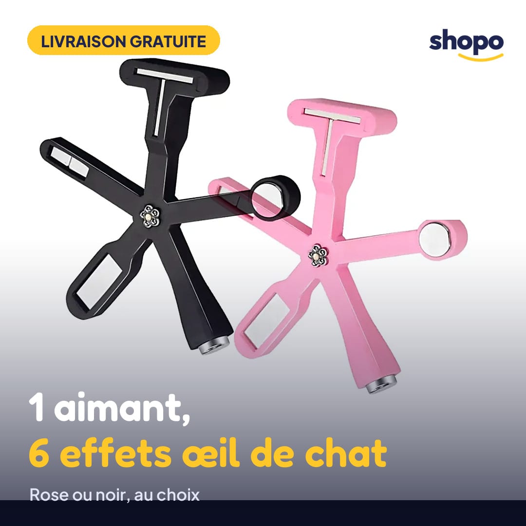 Aimant cat eye 6 en 1 pour ongles, photo 1